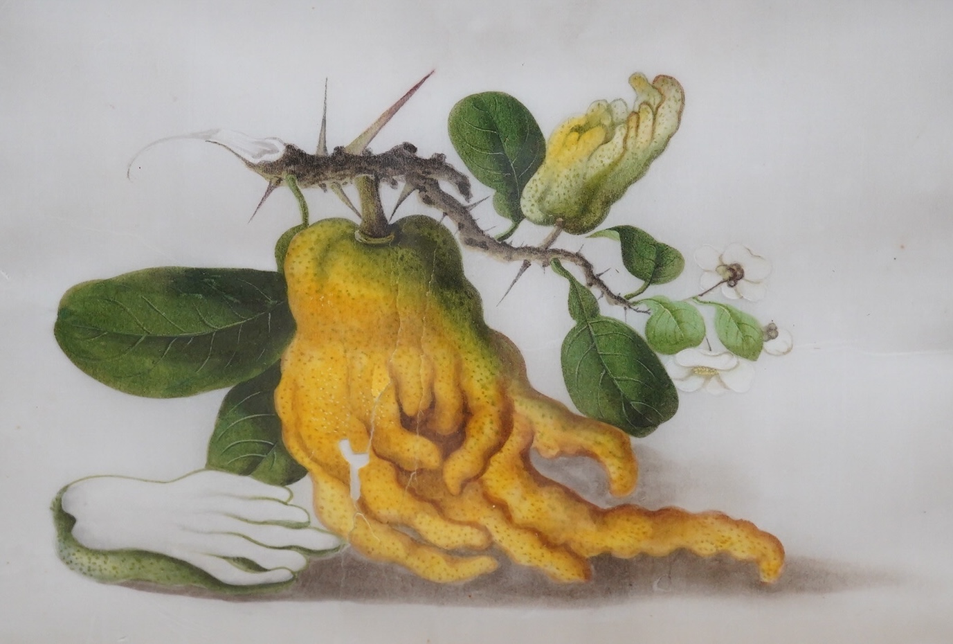 Mid 19th century, Chinese School, set of four pith paintings, Still lifes of fruit and vegetables, 18 x 26cm. Condition - poor, rips to the paper